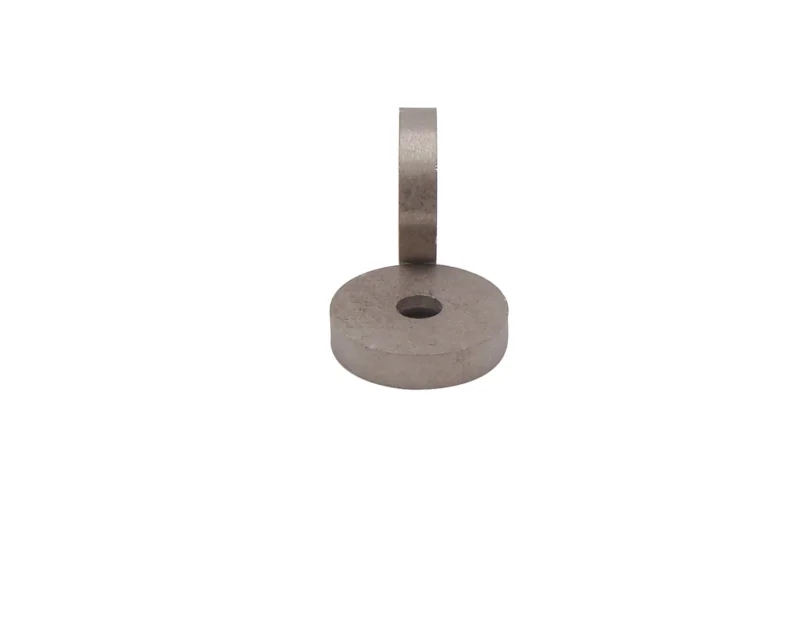 Two circular samarium cobalt magnets are shown on the front and side respectively