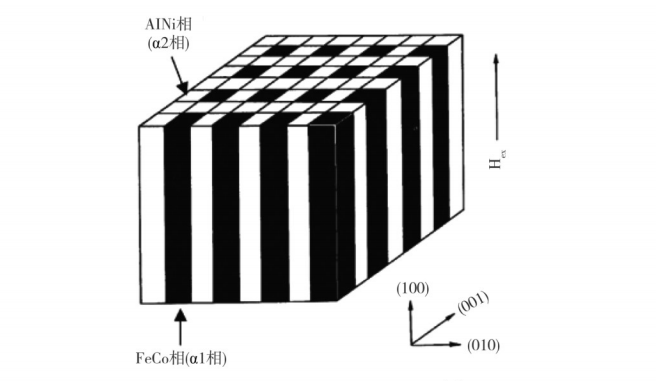 Schematic diagram of Alnico magnets microstructure showing layered distribution of FeCo-rich and AlNi-rich phases with magnetic field direction annotation
